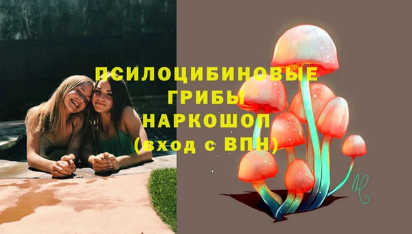 таблы Новозыбков
