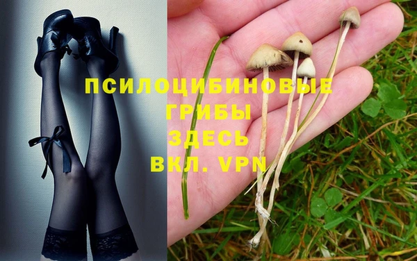 таблы Новозыбков