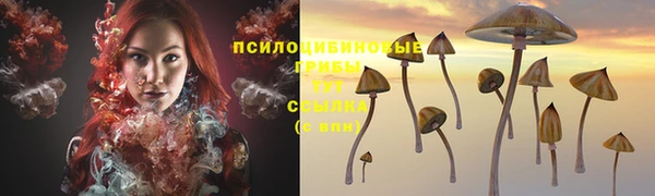mdma Новодвинск