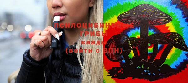 таблы Новозыбков